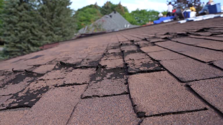 Best Rubber Roofing (EPDM, TPO)  in Hilliard, FL
